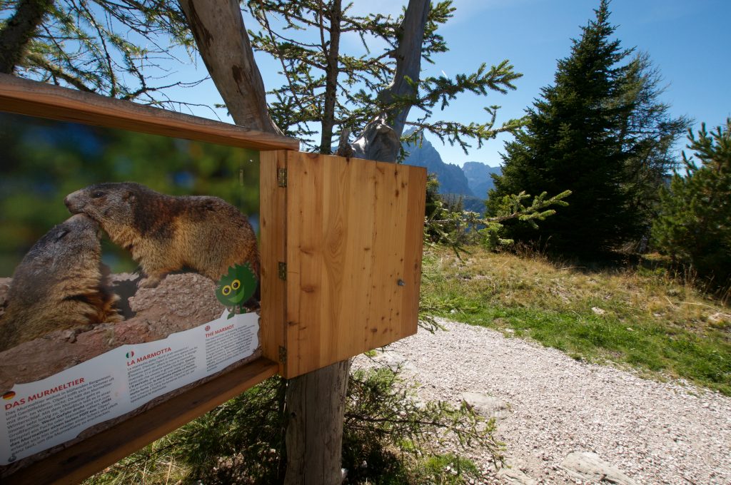 Olperls Bergwelt | Helm | Südtirol