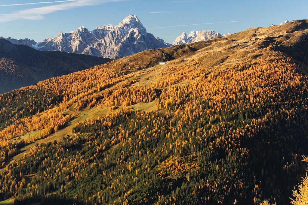 Thurntaler Herbst | Außervillgraten | Villgratental